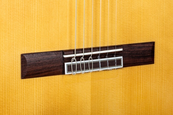 PRIMERA - immagine 4