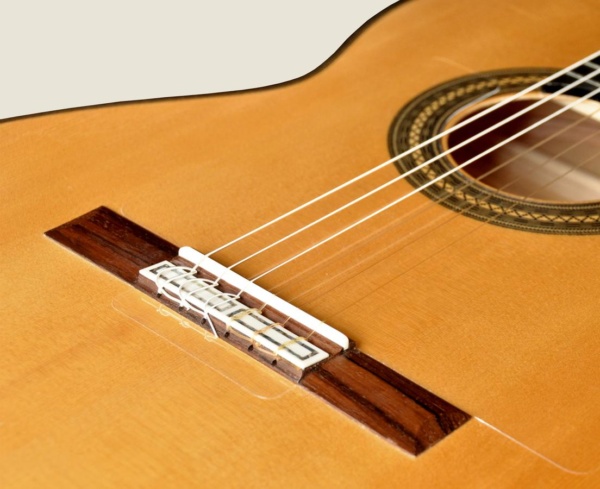 CONCIERTO Amazon - immagine 3