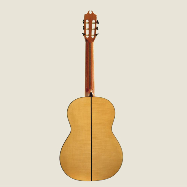 CONCIERTO Arce - immagine 2