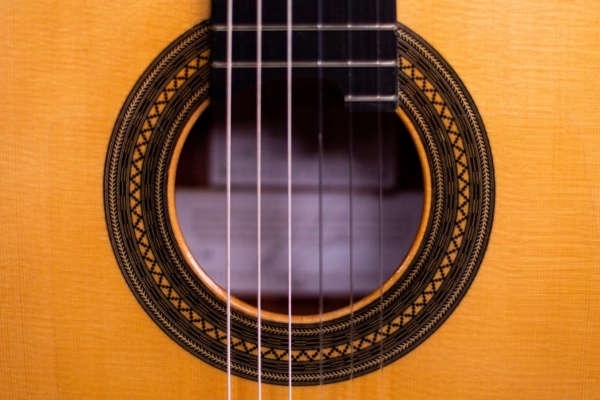 CONCIERTO Amazon - immagine 4