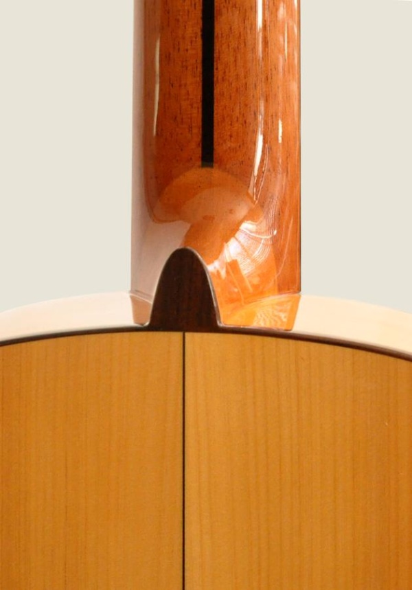 PRIMERA - immagine 7